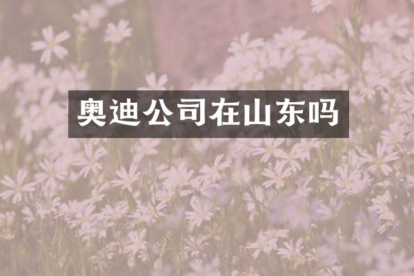 奥迪公司在山东吗