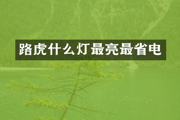 路虎什么灯最亮最省电