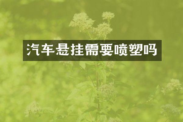 汽车悬挂需要喷塑吗