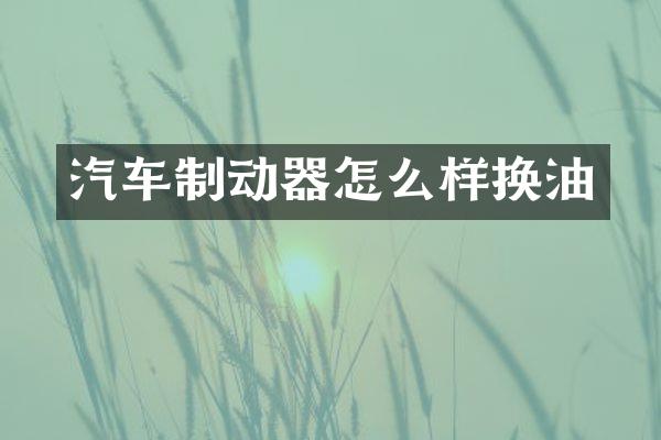 汽车制动器怎么样换油