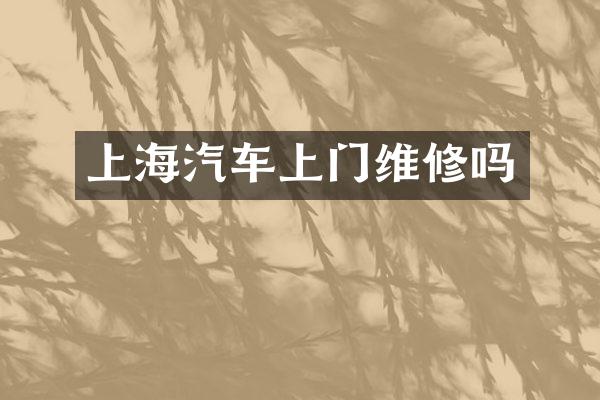 上海汽车上门维修吗