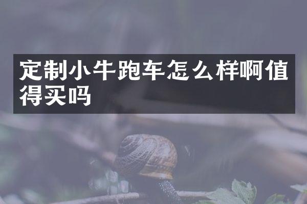 定制小牛跑车怎么样啊值得买吗