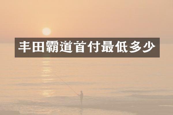 丰田霸道首付最低多少