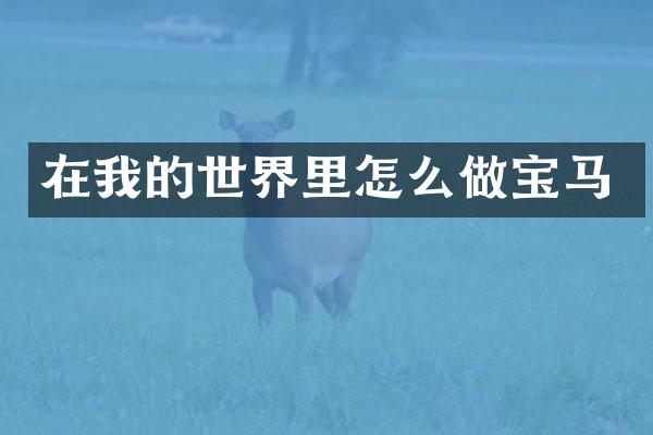 在我的世界里怎么做宝马