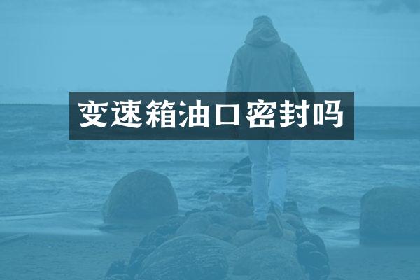 变速箱油口密封吗