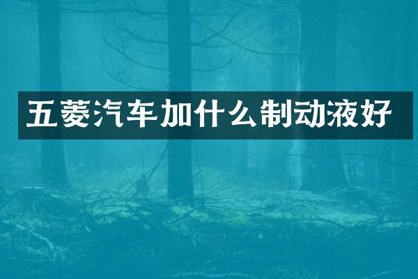 五菱汽车加什么制动液好