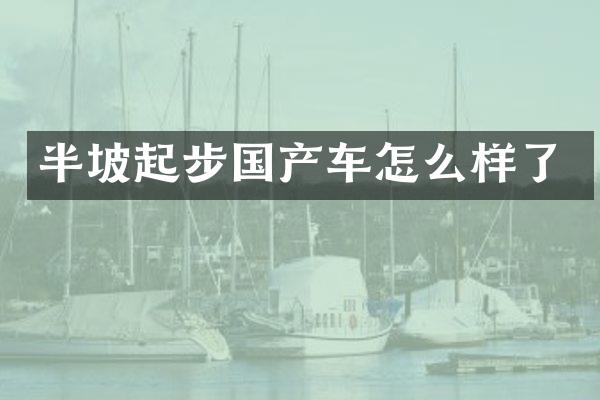 半坡起步国产车怎么样了