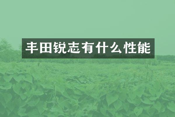 丰田锐志有什么性能