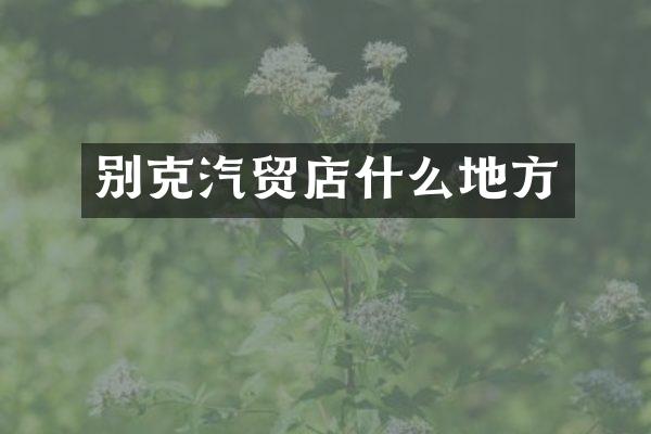 别克汽贸店什么地方