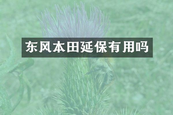 东风本田延保有用吗
