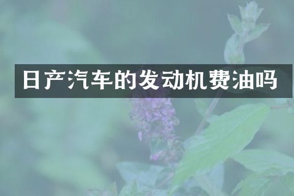 日产汽车的发动机费油吗