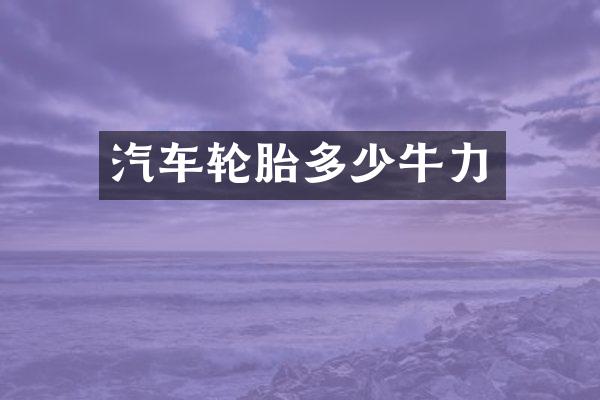 汽车轮胎多少牛力