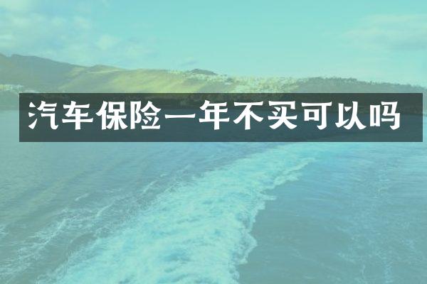 汽车保险一年不买可以吗