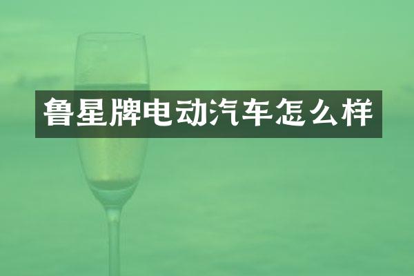 鲁星牌电动汽车怎么样