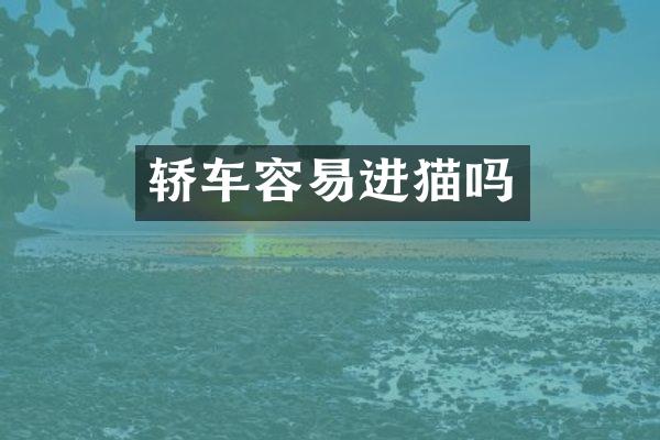轿车容易进猫吗