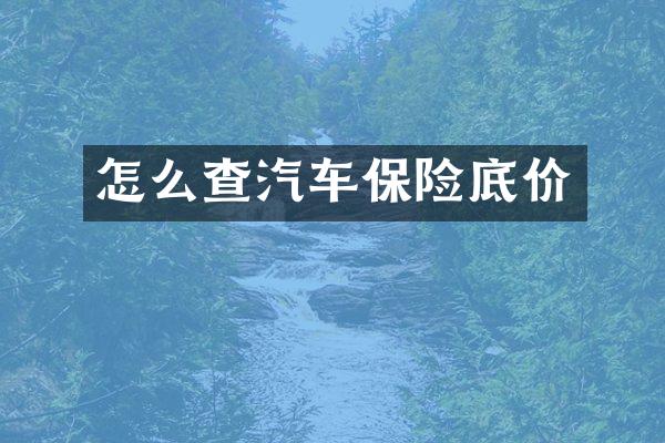怎么查汽车保险底价