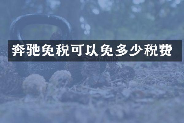 奔驰免税可以免多少税费