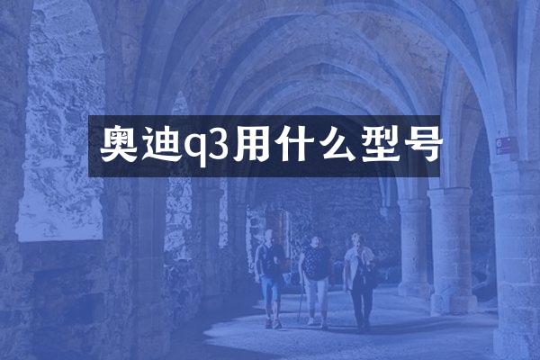 奥迪q3用什么型号
