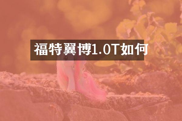 福特翼博1.0T如何