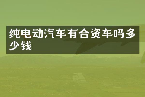 纯电动汽车有合资车吗多少钱