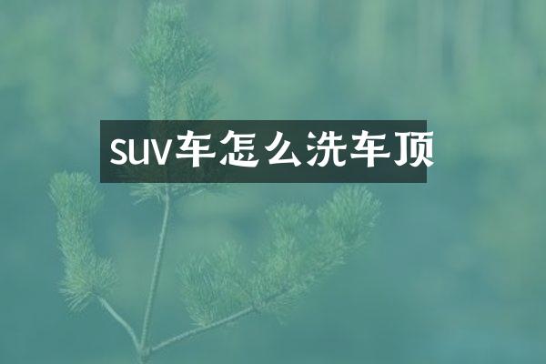 suv车怎么洗车顶