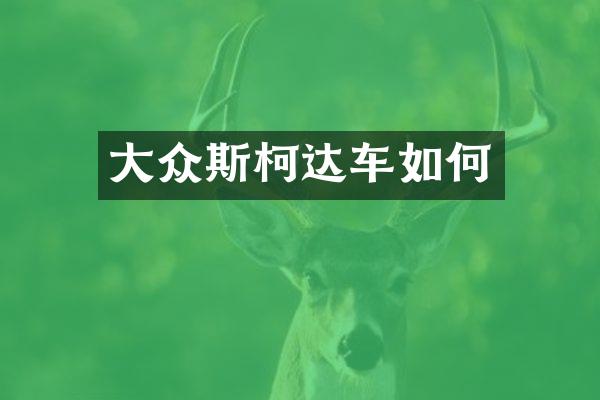 大众斯柯达车如何