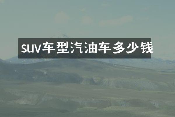 suv车型汽油车多少钱