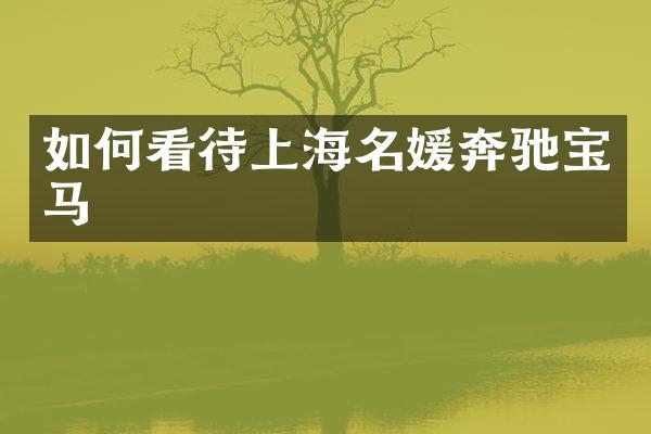 如何看待上海名媛奔驰宝马