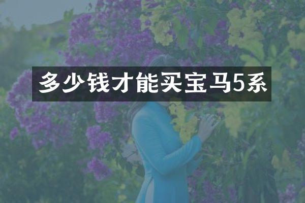多少钱才能买宝马5系