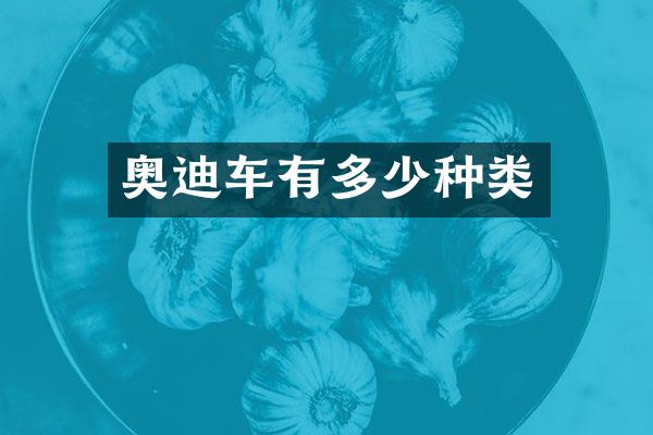 奥迪车有多少种类