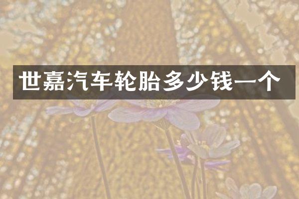 世嘉汽车轮胎多少钱一个