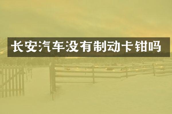 长安汽车没有制动卡钳吗