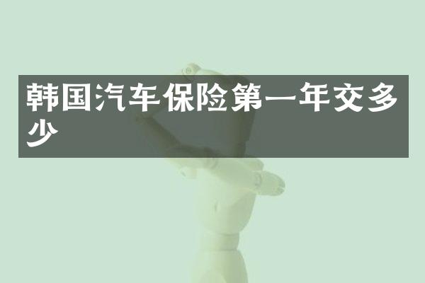 韩国汽车保险第一年交多少
