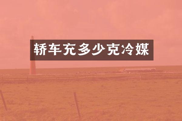 轿车充多少克冷媒
