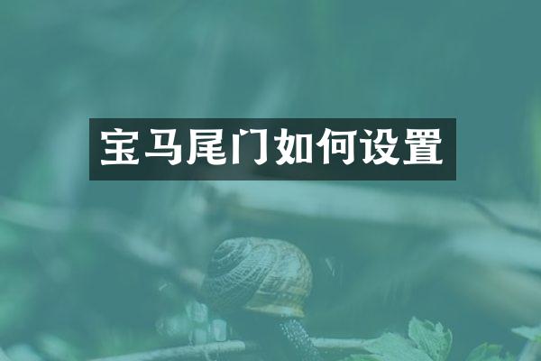 宝马尾门如何设置