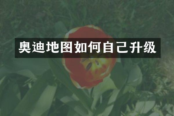 奥迪地图如何自己升级