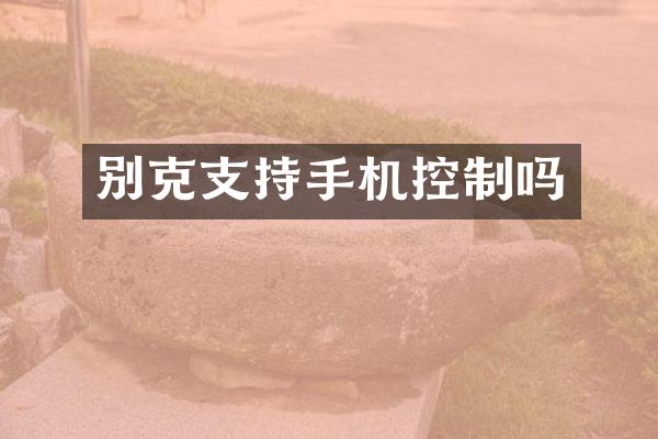 别克支持手机控制吗