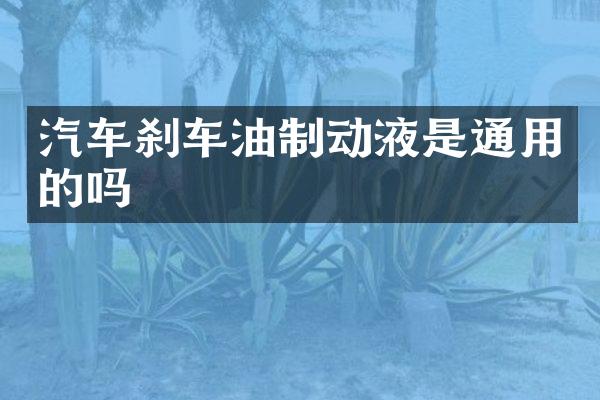 汽车刹车油制动液是通用的吗