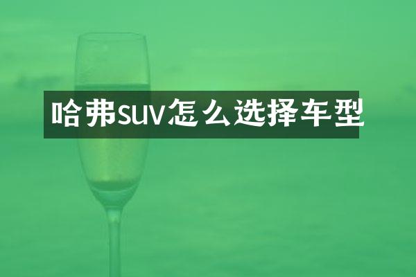哈弗suv怎么选择车型