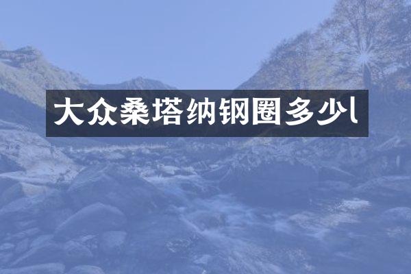 大众桑塔纳钢圈多少l
