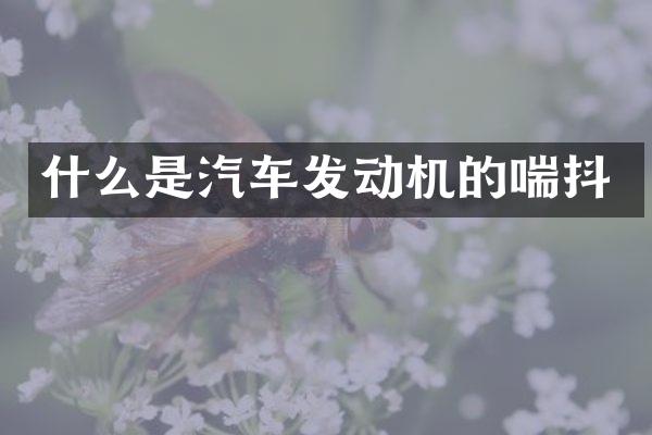 什么是汽车发动机的喘抖