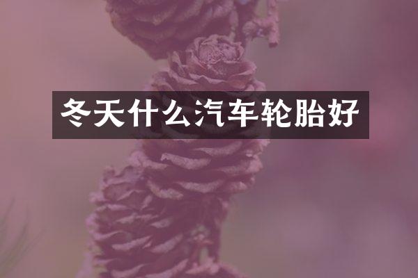 冬天什么汽车轮胎好