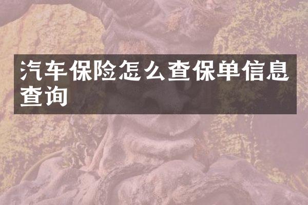 汽车保险怎么查保单信息查询