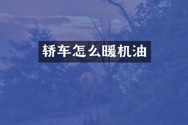 轿车怎么暖机油