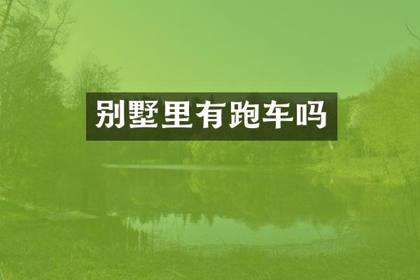 别墅里有跑车吗