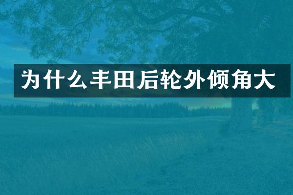 为什么丰田后轮外倾角大