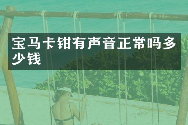 宝马卡钳有声音正常吗多少钱