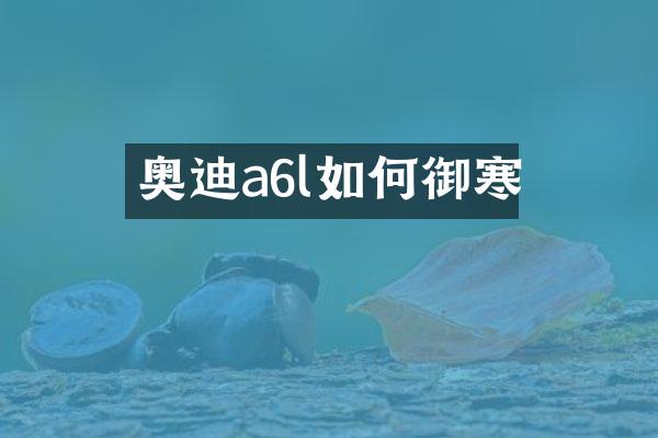 奥迪a6l如何御寒