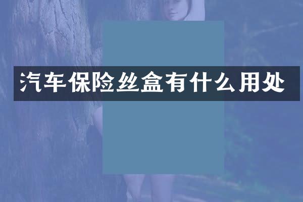 汽车保险丝盒有什么用处