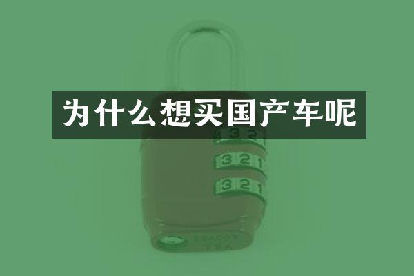 为什么想买国产车呢
